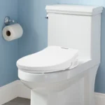 220 V intelligenter V-förmiger Bidet-Toilettensitz, LED-Anzeige-Lichtquelle, Toilettensitz für Badezimmer, Fernbedienung 4