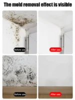 Haushalts-Schimmelentferner-Spray Reinigungsspray Badezimmer-Wandrenovierung Fleckenentferner-Spray 5