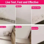 Schimmelentferner-Spray Verhindert Pilzbeschichtungen Möbel Fliesen Wand Fleckenentfernung Spüle Entkalkung Antibakterielles Badezimmer Schimmelreinigungsmittel 6
