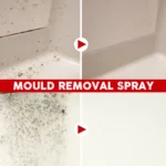 100 ml Schimmelentfernungsspray – Anti-Schimmel-Reinigung für Wände, Fliesen und Böden |   Badezimmer-Formel-Eliminator mit Geruchsentfernung 5