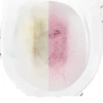 Toilettenreiniger, gelbe Skala, Tabletten, Urinflecken, automatische Entfernung von Badezimmerreinigungen, Haushaltsgebrauch, WC Clean Chemicals, Hausgarten 6