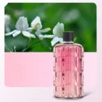 50ml Diffusor Ätherische Öle 5 Aromen Wäsche Großer Raum Aroma-Sprühgerät Hotel-Luftbefeuchter Entspannend Qualität Beruhigend 6