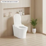 D-förmiger, nicht-elektrischer Bidet-Toilettensitz mit Doppeldüse, 3-Loch-Sprühfunktion für Vorder- und Rückseitenreinigung, wasserdruckbetrieben, sanft schließend, aus PP-Material, einfache Installation, selbstreinigende Düse, universelle Passform für Badezimmerhygiene und Körperpflege 3
