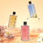50ml Diffusor Ätherische Öle 5 Aromen Wäsche Großer Raum Aroma-Sprühgerät Hotel-Luftbefeuchter Entspannend Qualität Beruhigend 5