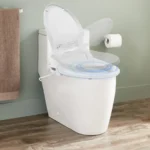 220 V intelligenter V-förmiger Bidet-Toilettensitz, LED-Anzeige-Lichtquelle, Toilettensitz für Badezimmer, Fernbedienung 5