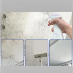 Reiniger Spray 240 ml Schimmel Entferner Spray Verhindern Möbel Fliesen Wand Flecken Entfernung Waschbecken Unkalk Badezimmer Schimmel Reinigungsmittel 4