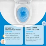 Spritzer Schaum Toilettenreiniger Toilette Badezimmer Desodorierungsschaum Geruchsentfernung Lufterfrischer Toilettenreinigung Brausetablette 6