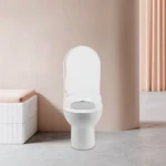 Nicht-elektrischer Bidet-Toilettensitz, passend für längliche Toiletten, weiß, Doppeldüsen-System Bidet mit einfacher Installation 3