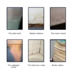 Jaysuing Schimmelentfernungsspray, Küche, Badezimmer, Blasenreinigung, Schmutz, Schimmel, Flecken, Spo-Entferner, Fliesen, Toilette, milde Wand, Schimmelreiniger 4