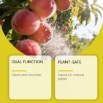100 ml Mikrobielles Obstgarten-Reinigungsmittel, Obstreiniger für die Gartenpflege, Haushaltsreinigungsflüssigkeit, Mehrzweck-Gartenpflege 3